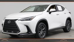 2024 Lexus NX 250 Base