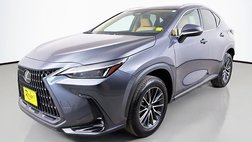 2025 Lexus NX 250 Premium