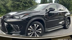 2019 Lexus NX 300 F SPORT