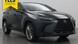 2022 Lexus NX 350h Luxury