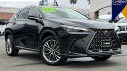 2025 Lexus NX 350 Luxury