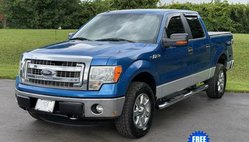 2013 Ford F-150 Platinum