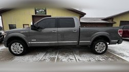 2013 Ford F-150 Platinum