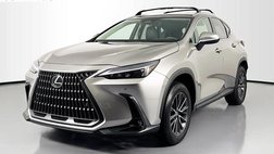 2025 Lexus NX 250 Base