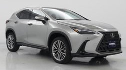 2023 Lexus NX 350h Luxury