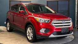 2019 Ford Escape SE