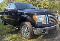 2010 Ford F-150 XLT